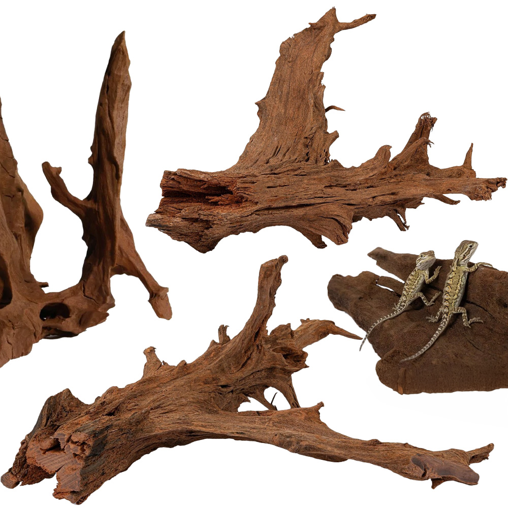 Happet Korzeń Mangrowca Mangrowiec L 40-60cm Ozdoba Naturalna